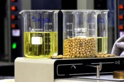 El 90% de las plantas de biodiesel paralizaron la producción