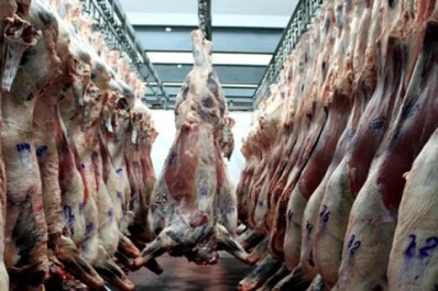 La retención también llegó a la faena de machos