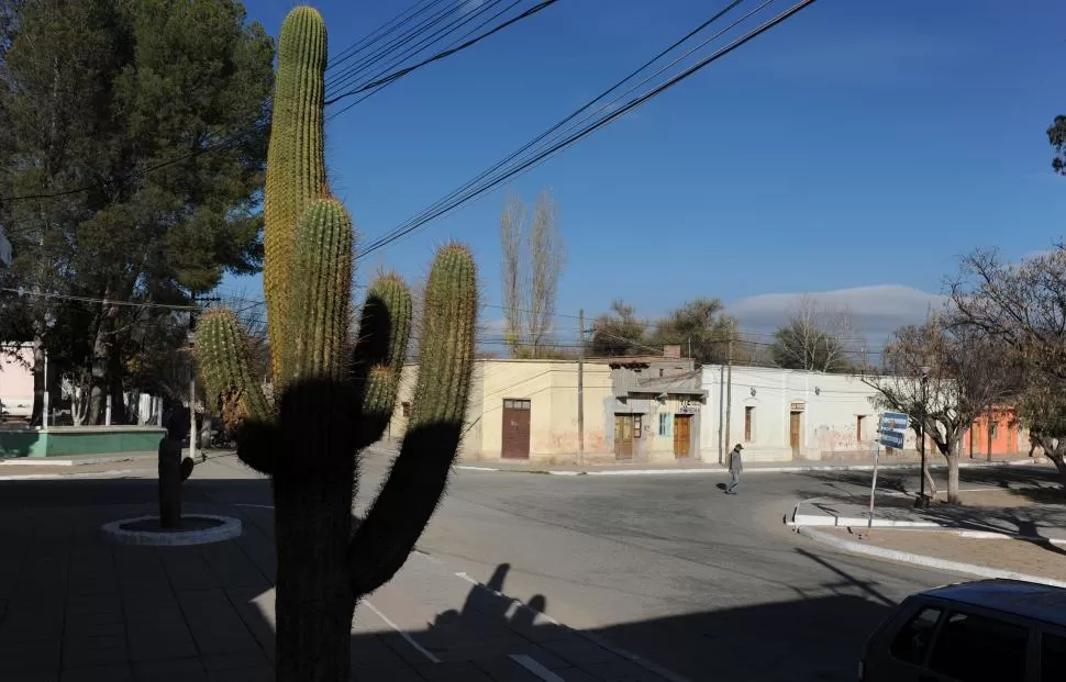  la gaceta / foto de osvaldo ripolll