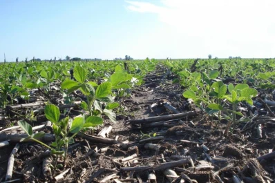 El clima acompaña al agricultor