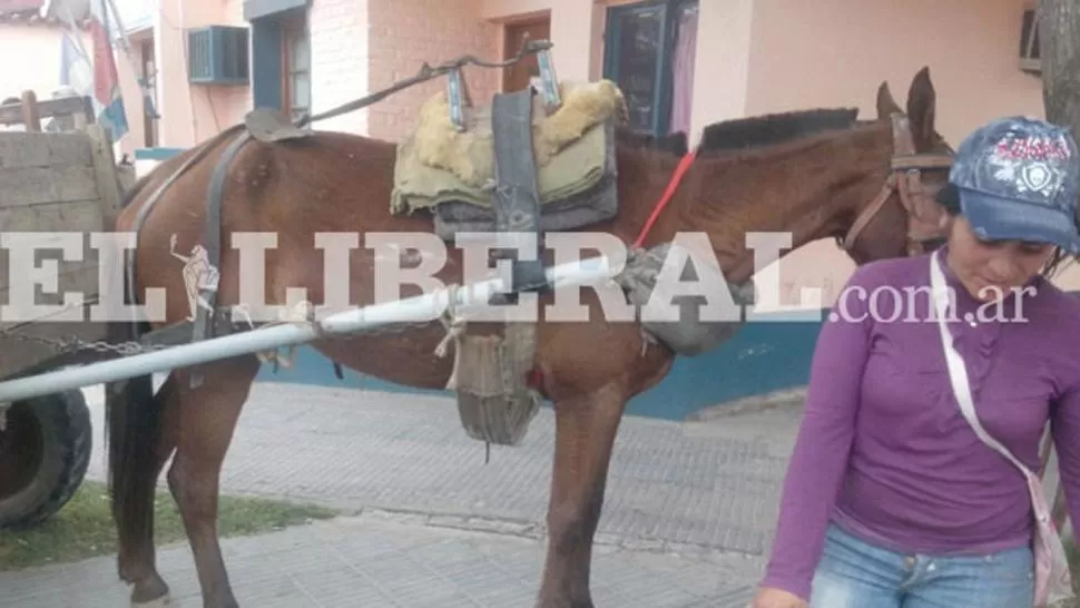 FOTO TOMADA DE ELLIBERAL.COM.AR