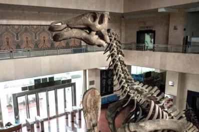 Los turbios orígenes de un museo sobre dinosaurios