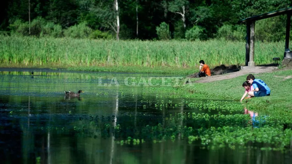 AL SOL. Una salida a la laguna de San Javir será una buena opción al aire libre durante este domingo. ARCHIVO LA GACETA / DIEGO ARAOZ