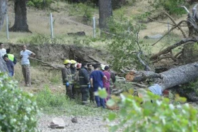Dos niños murieron aplastados por un árbol en San Martín de los Andes