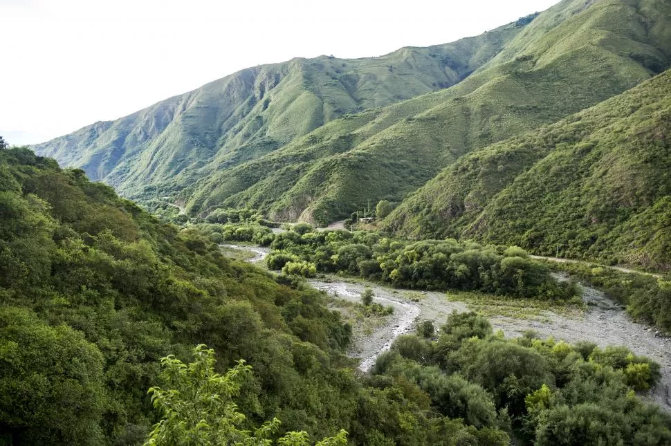 LA NATURALEZA EN SU INMENSIDAD. Como una serpiente gigante, el río Tacanas avanza con fuerza entre las piedras cubiertas de musgos. El cauce es ruidoso y cristalino, ideal para bañarse en esta época del año.  la gaceta / fotos de florencia zurita