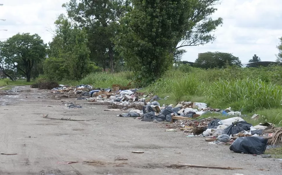 CAMPO NORTE, “PARAÍSO DE LA BASURA”. En 2006 la Provincia compró este predio de 37 hectáreas (ubicado entre Viamonte, Ecuador, Castelli e Italia) para convertirlo en un pulmón. Pero está lleno de desperdicios. la gaceta / fotoS de florencia zurita