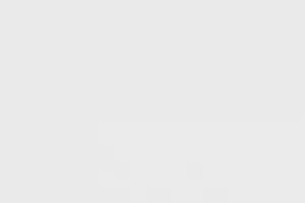 Que sea el Bicentenario de las Letras