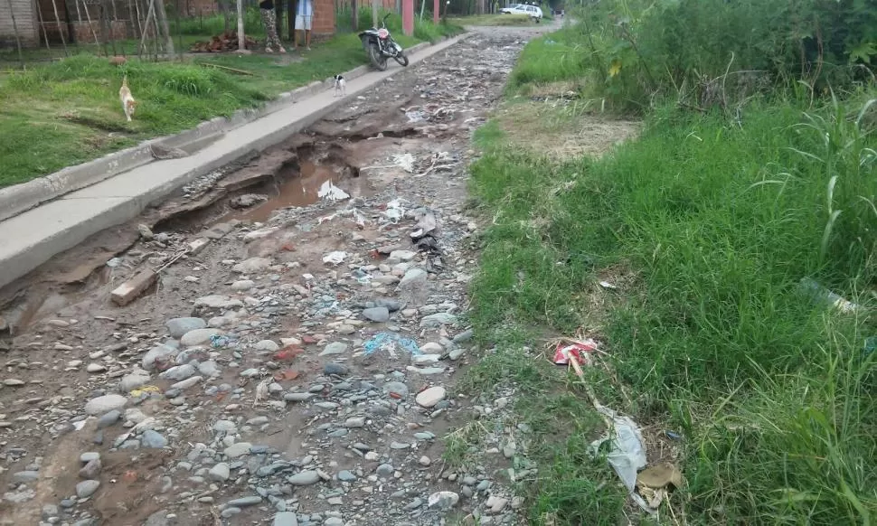 Vecinos de El Manantial se sienten abandonados por las autoridades