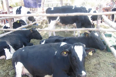 “Es tiempo de que los productores trabajen todos unidos”