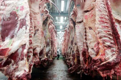 El consumo interno nacional de carne vacuna tiene sus propias limitaciones