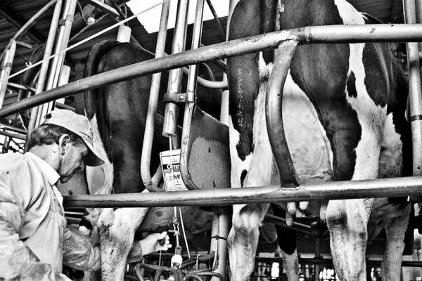 “Hay inacción de políticos y de tamberos”