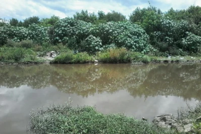 Todavía no se limpió “la laguna de Las Américas”