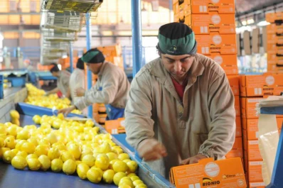 Manzur quiere llevar a la cena con Obama la reapertura de las exportaciones del limón a EE.UU.