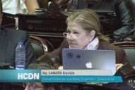 Camaño, del Frente Renovador, advirtió: no aceptaremos aprietes, ni amenazas