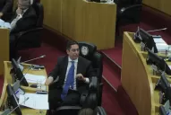 El PRO y la UCR piden que se extienda la sanción a Vargas Aignasse