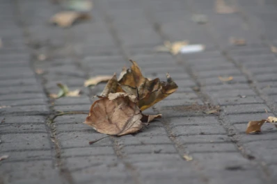 El cielo gris y las bajas temperaturas le dieron la bienvenida al otoño