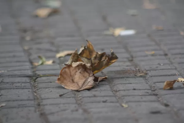 El cielo gris y las bajas temperaturas le dieron la bienvenida al otoño