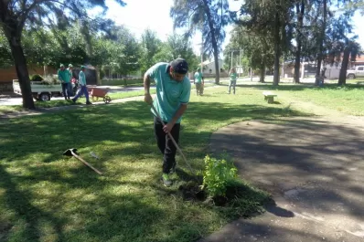 Los jóvenes que se convirtieron en “cuidadores verdes”