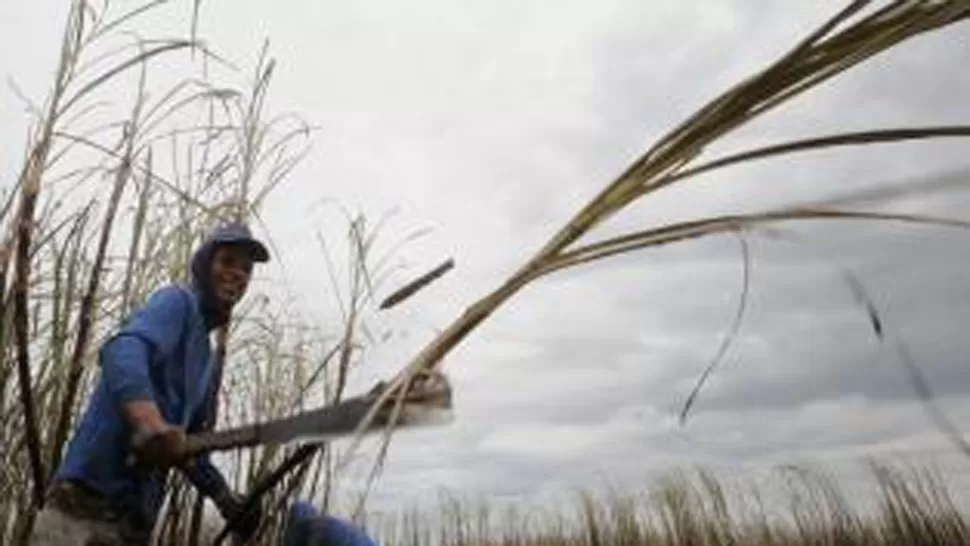 AZÚCAR (ARCHIVO LA GACETA)