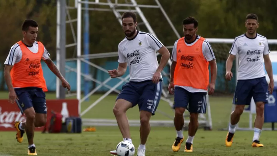 UNA CHANCE. Higuaín podría ser titular ante Bolivia. (INFOBAE)