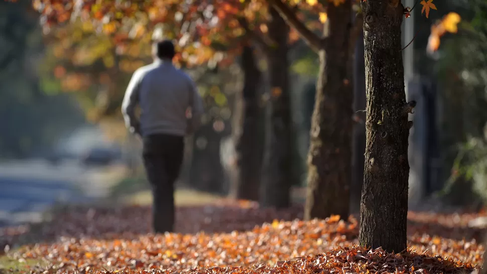 BIEN OTOÑAL. Las tardes invitarán a caminar bajo el sol.  ARCHIVO LA GACETA / FOTO DE DIEGO ARÁOZ