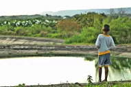 Rumbo a Cannes: dos chicos, la tarde y la vida para ser amigos