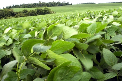 Investigadores de la Experimental disertarán en la Expo Apronor