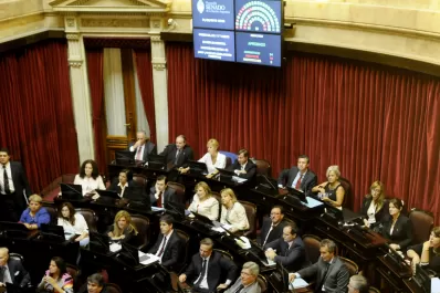 Voto por voto: así se dividió el kirchnerismo en la Cámara Alta