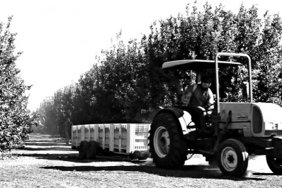 Preocupa el mal estado de los caminos