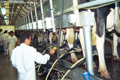 Tamberos: beneficios para los productores nacionales