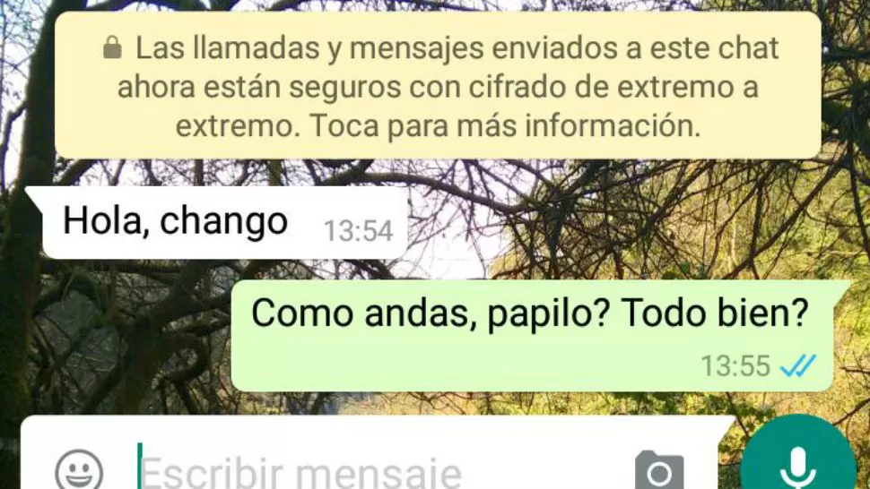 ¿De qué se trata el nuevo mensaje que está apareciendo en WhatsApp?