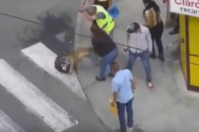 Feroz ataque de un pitbull a otro perro en plena calle