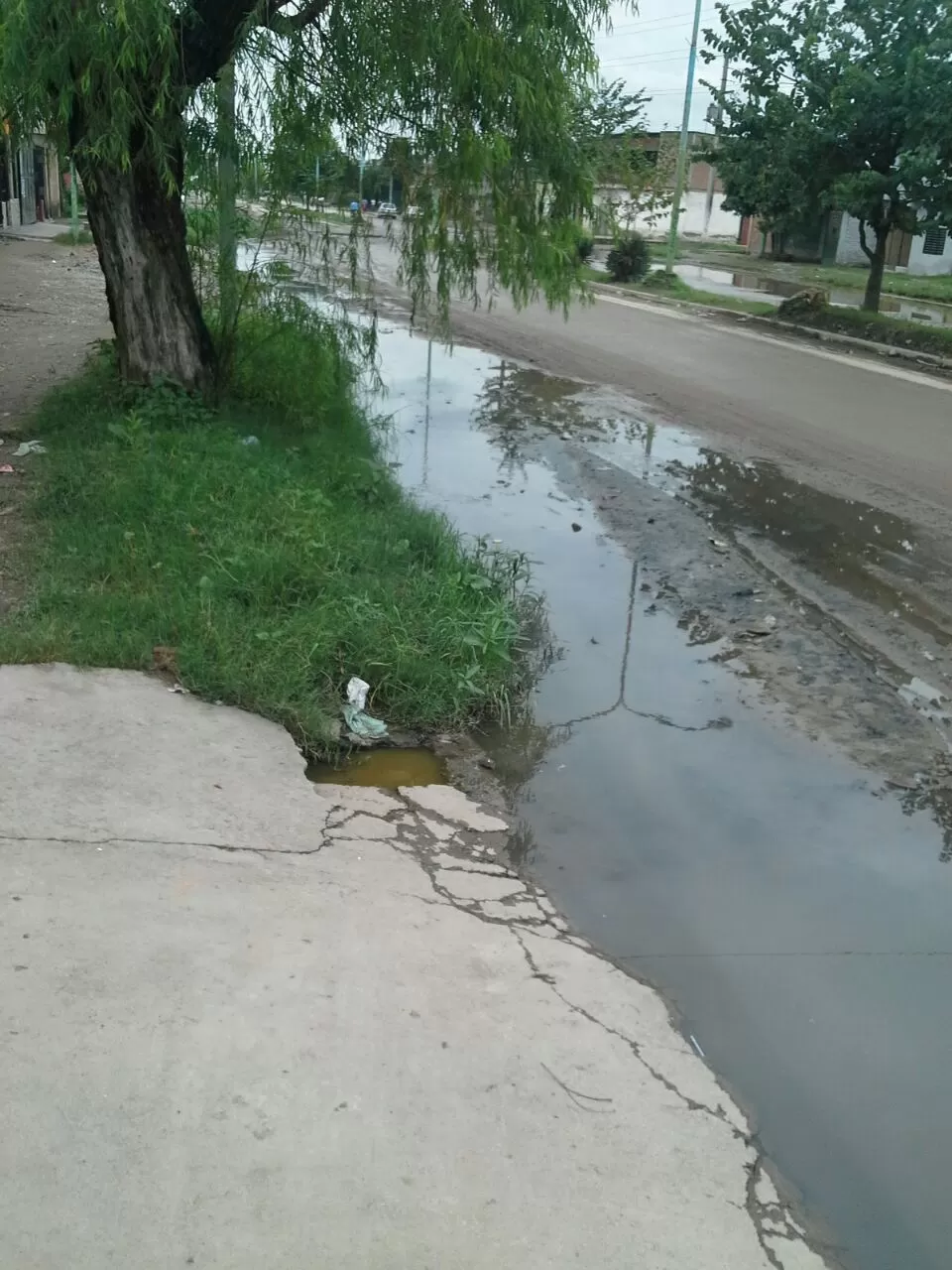  -AGUAS SERVIDAS EN LA AVENIDA DEMOCRACIA.