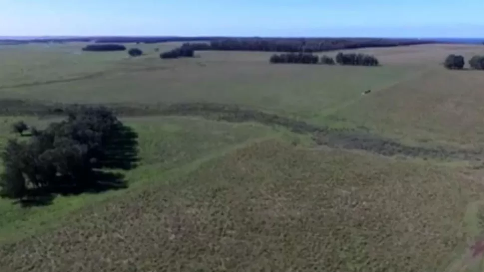 EL ENTREVERO. Este es el campo que compró Báez en Uruguay. FOTO TOMADA DE LANACION.COM.AR