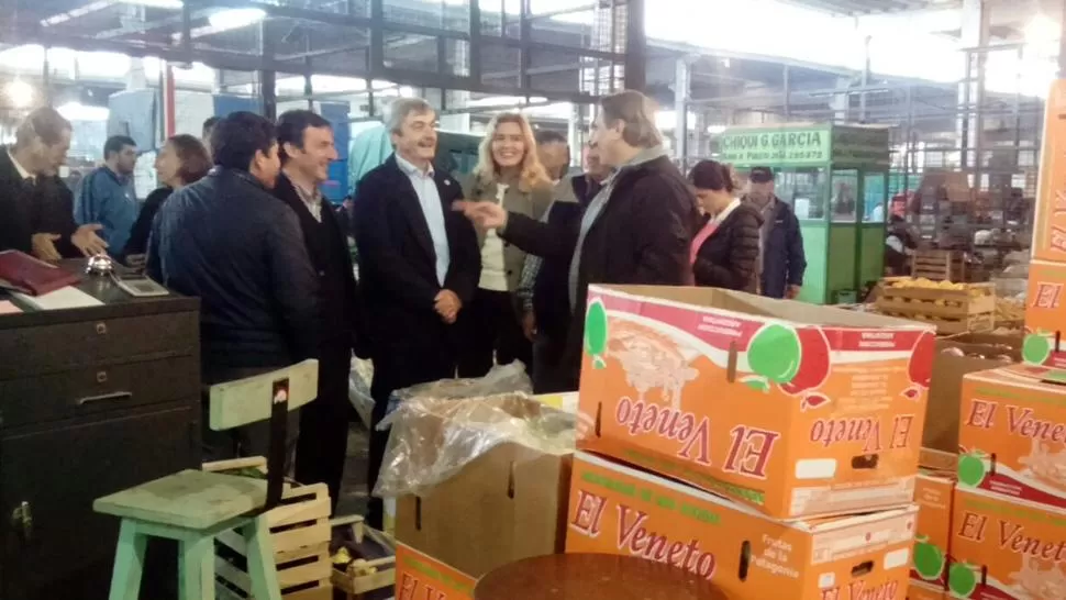 El secretario de Agroindustria de la Nación, Néstor Roulet, recorrió el Mercofrut