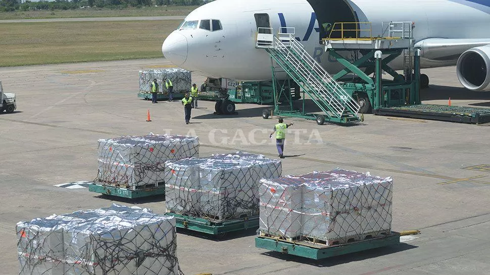 LOS ARÁNDANOS DE TUCUMÁN SE EXPORTAN A VARIOS PAÍSES DESDE EL AEROPUERTO LOCAL. ARCHIVO LA GACETA