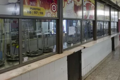 Inspección y clausura, las reacciones oficiales ante el video de las ratas en un local de comida