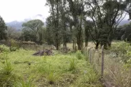 Desoyen medidas de protección ambiental en El Corte