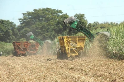 Se abrió el Registro Cañero Provincial