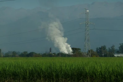 Destacan el buen desarrollo madurativo del cañaveral de la zona central de Tucumán