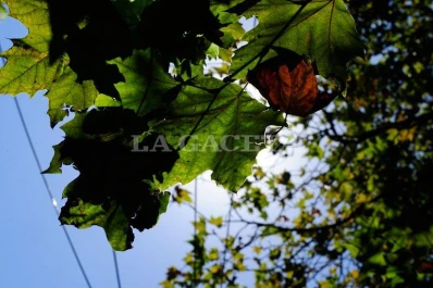 Se terminaron las lluvias y salió el sol