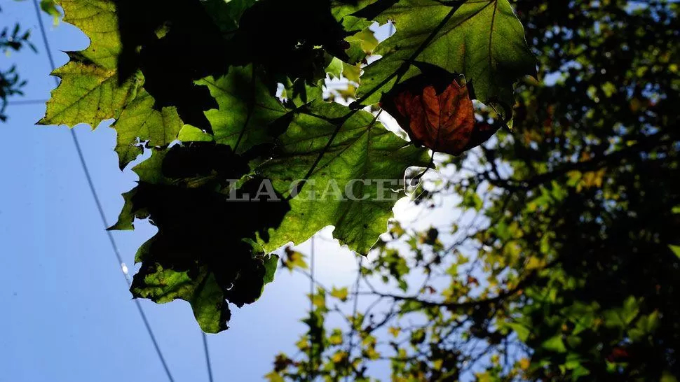 ARCHIVO LA GACETA / FOTO DE JORGE OLMOS SGROSSO