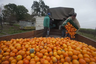 Los controles viales deben ser más rigurosos