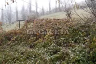¡Helado! El termómetro marcó 4 grados y cayó garrotillo en Tafí del Valle