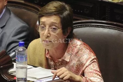Escucho con miedito, asustadito, a Jaldo, ironizó la senadora Mirkin