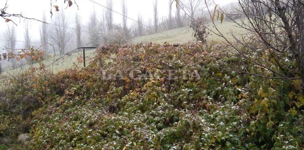 FOTO ENVIADA AL WHATSAPP DE LA GACETA 