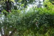 La noche que el “Santo” volvió a ser de Primera