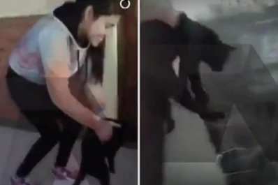 Tiró a un gatito desde el cuarto piso para ver si caía parado