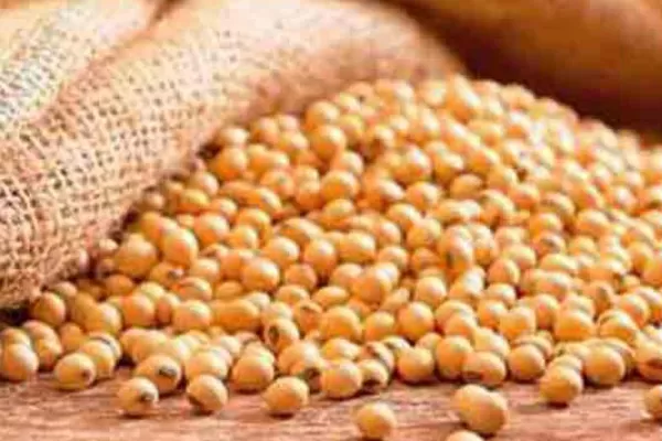 Se duplicó el superávit de la balanza comercial en mayo y alcanzó a U$S 439 millones