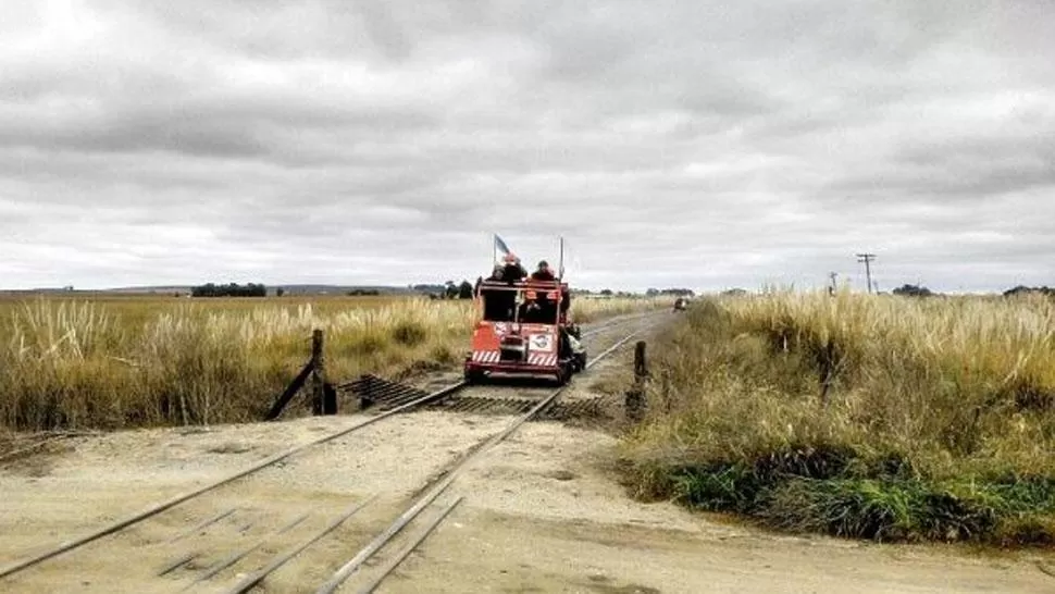 VIAJE LARGO. La zorrita en las vías. FOTO TOMADA DE TODOPROVINCIAL.COM.AR